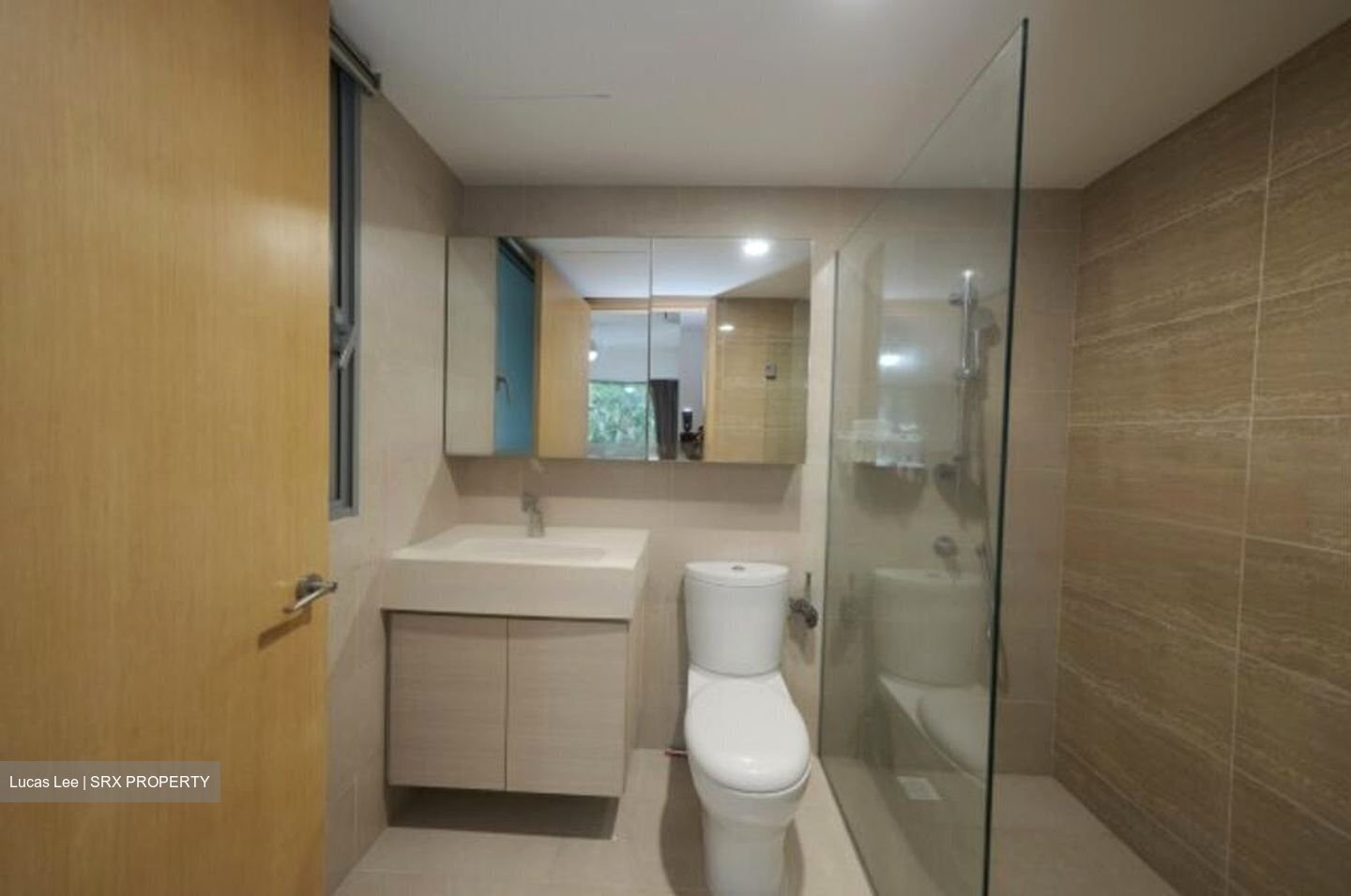 A Treasure Trove (D19), Condominium #474542991